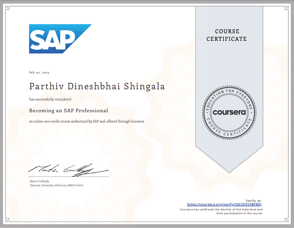 Becoming an SAP Professional
